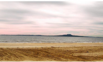 Browns Bay Marine Centre